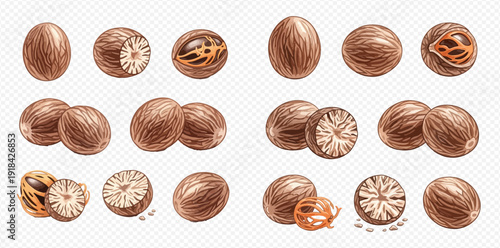 Set of nutmeg whole and half nuts, with mace spice, isolated on transparent background.