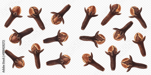A collection of aromatic dried cloves, a popular spice used in cooking and baking, isolated on a transparent background.