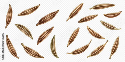 Cumin seeds isolated on a transparent background, representing a collection of healthy spices and ingredients for cooking.