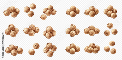Set of various white peppercorns isolated on a transparent background, showcasing different arrangements and quantities of the spice.