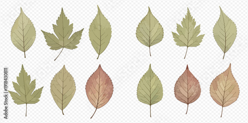Set of watercolor autumn leaves in various shapes and colors on a transparent background.