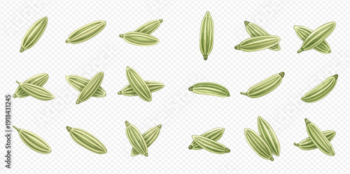 Set of green fennel seeds isolated on transparent background, aromatic spice for cooking and medicine.