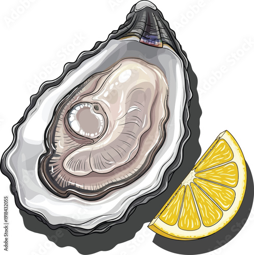 Fresh Oyster With Lemon Slice Flat Design Illustration