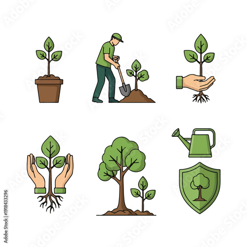 Tree Planting Process Illustrated with Various Stages.