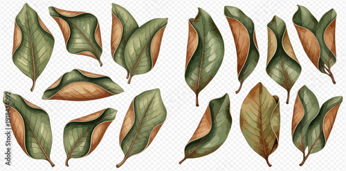 Set of watercolor illustrations of dried green and brown leaves, perfect for autumn and nature-themed designs.
