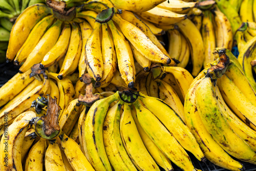 Many organic plantain in the Colombian peasant market square - Musa x paradisiaca.