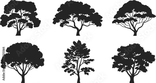Collection of detailed tree silhouettes isolated on white background, various forest and park trees black vector illustration set for nature design, landscape graphics and branding