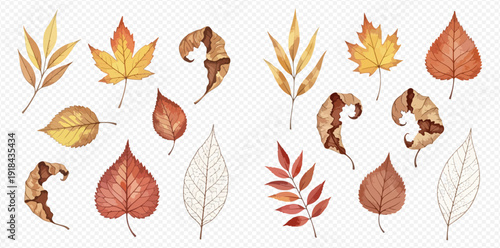 Watercolor autumn leaves collection with various shapes and colors on a transparent background.