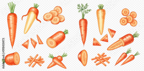 Set of fresh carrots in various forms, including whole, sliced, and chopped, on a transparent background.