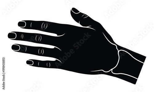 Hand bone radiography vector art in black silhouette with details for medical and healthcare theme