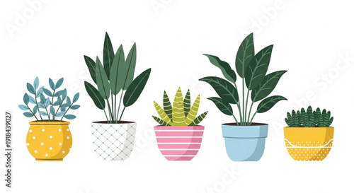 Indoor houseplant collection with decorative ceramic pots and green succulent leaves vector illustration set isolated on white