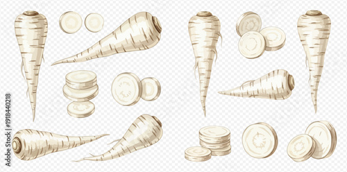 Set of fresh parsnips, whole and sliced, isolated on transparent background, showcasing healthy root vegetables for cooking and culinary use.