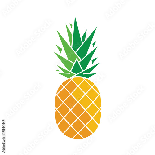 vector illustration of a pineapple