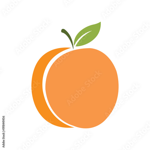 vector illustration of orange fruit