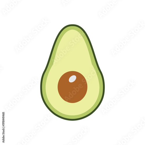 vector illustration of an avocado