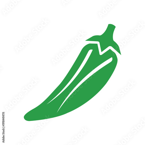 vector illustration of a green cabbage