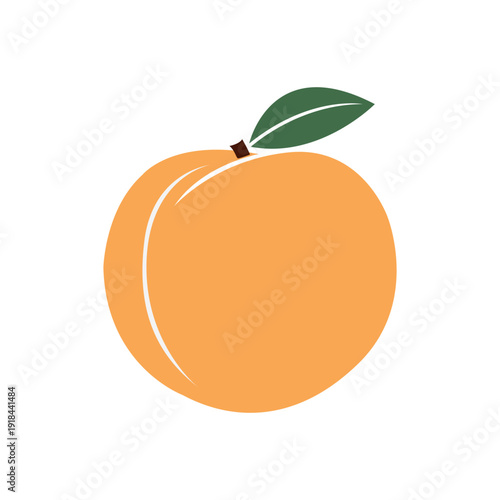 vector orange fruit isolated on white background