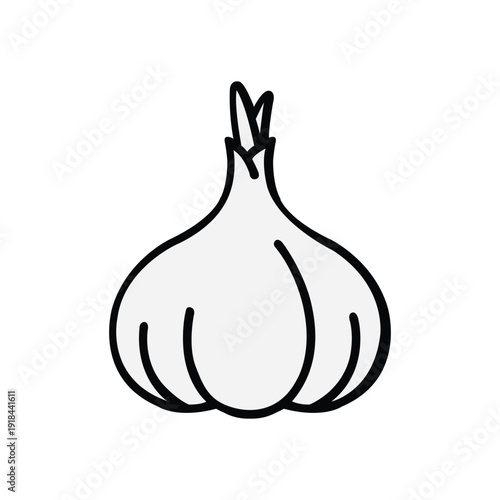 vector onion isolated on white background