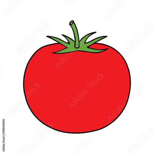 vector red tomato isolated on white