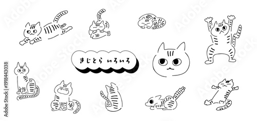 猫！きじとらいろいろ｜きじねこ,とらねこ,きじとら｜brown tabby cat