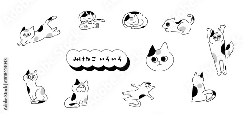 猫！みけねこいろいろ｜三毛猫,三毛,ミケ｜calico cat