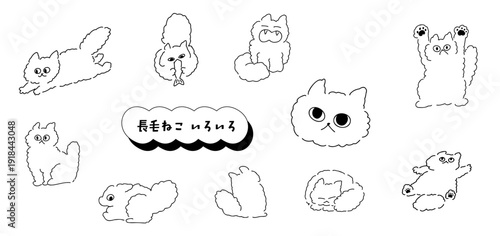 猫！長毛ねこいろいろ｜白猫,チンチラ,ペルシャ猫,もふもふ,ふわふわ猫｜long-haired cat