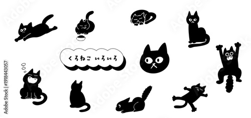 猫！黒猫いろいろ｜black cat