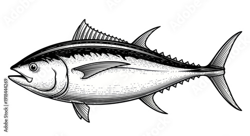 Vintage Tuna Fish Illustration - Seafood, Ocean Life, Marine Animal