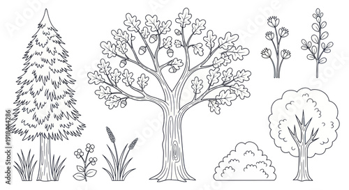 Collection of Hand-Drawn Trees, Plants, and Grasses for Nature Design