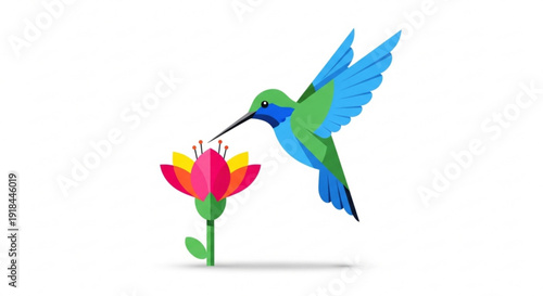 Hummingbird hovering near colorful flower drinking nectar in mid air flight