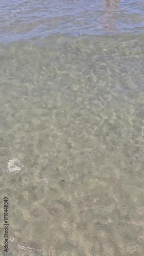 on the seashore with clean sandy water