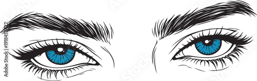 Closeup illustration of a womans blue eyes with long eyelashes and thick eyebrows  detailed facial features