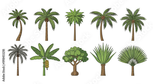 Collection of diverse tropical palm trees and plants illustrated in various styles and shapes