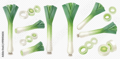 Fresh green leek vegetable set with whole and sliced pieces on transparent background.