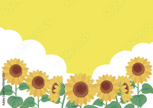Panorama Background of Sunflowers, Blue Sky, and Clouds. Image Board for Nature, Tourism, and Festivals