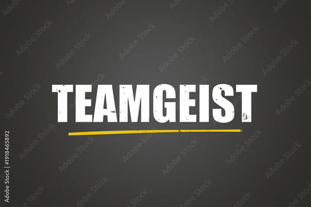 Fototapeta premium Teamgeist (Team spirit) - A blackboard with white text.
