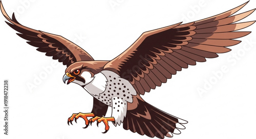 Brown and white falcon in mid flight wings spread wide sharp talons outstretched against a plain white background