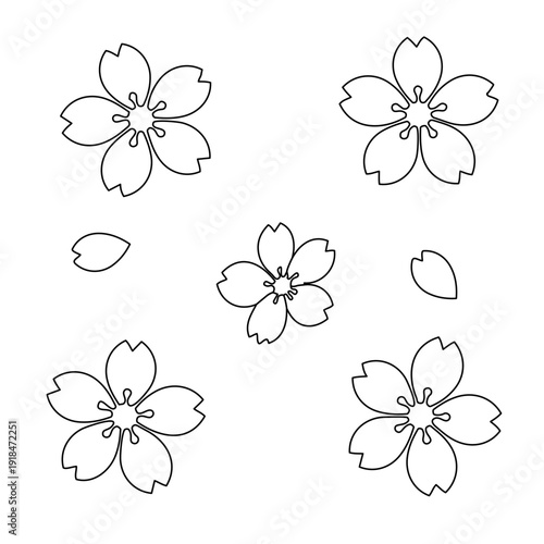 桜の花と花びらの線画セット。塗り絵/モノクロデザイン用ベクター素材。