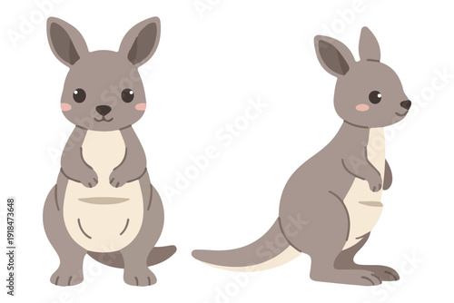 Cute kangaroo character standing and sitting in flat vector style for australian wildlife mascot