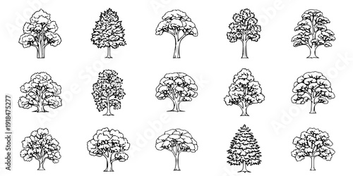 Set of street medium summer and autumn various trees frontal isolated png on a transparent background perfectly cutout
