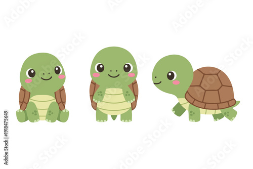 Cute little turtle character collection in flat kawaii vector style for sea animal mascot