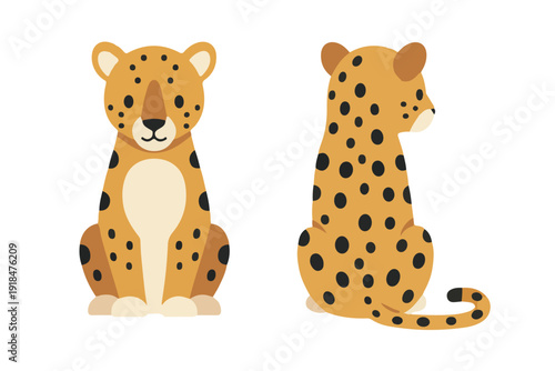Kawaii sitting leopard character from front and back view in flat vector style for animal mascot