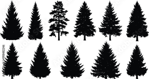 Pine tree silhouette collection, evergreen forest conifer black isolated vector illustration set