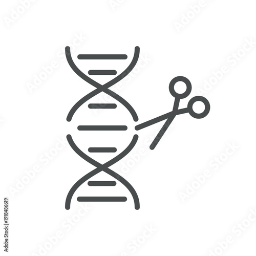 Gene Editing Icon, Outline DNA with Scissors, Genetic Engineering CRISPR Genome Modification Biotechnology Symbol. Isolated Genetic Engineering Line Icon on White Background 

