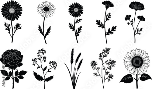 Botanical flower silhouette vector collection featuring wildflowers, rose, sunflower, garden plants, natural floral design elements for crafting, branding, decorative prints, and digit