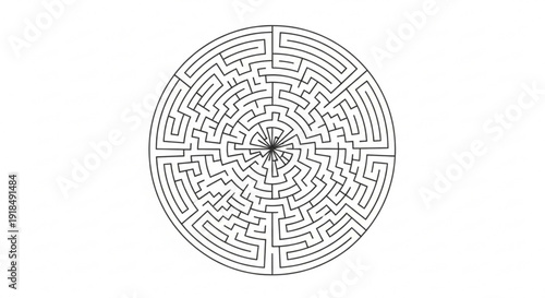 Circular maze with intricate paths and a central point black lines on white background puzzle design