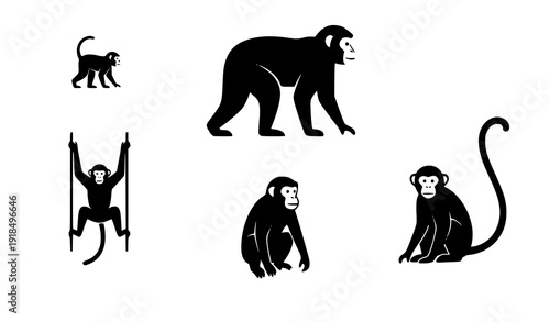 Minimal monkey silhouette primate vector icon set