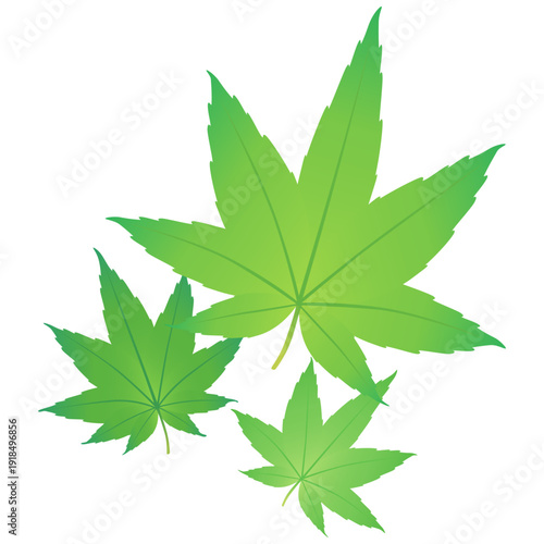 緑の紅葉のイラスト_あしらい