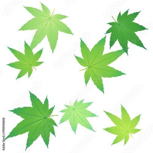 舞い散る緑の紅葉のイラスト