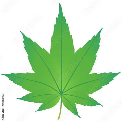 緑の紅葉のイラスト_一枚